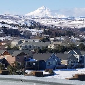 Meet your Posher, Dan